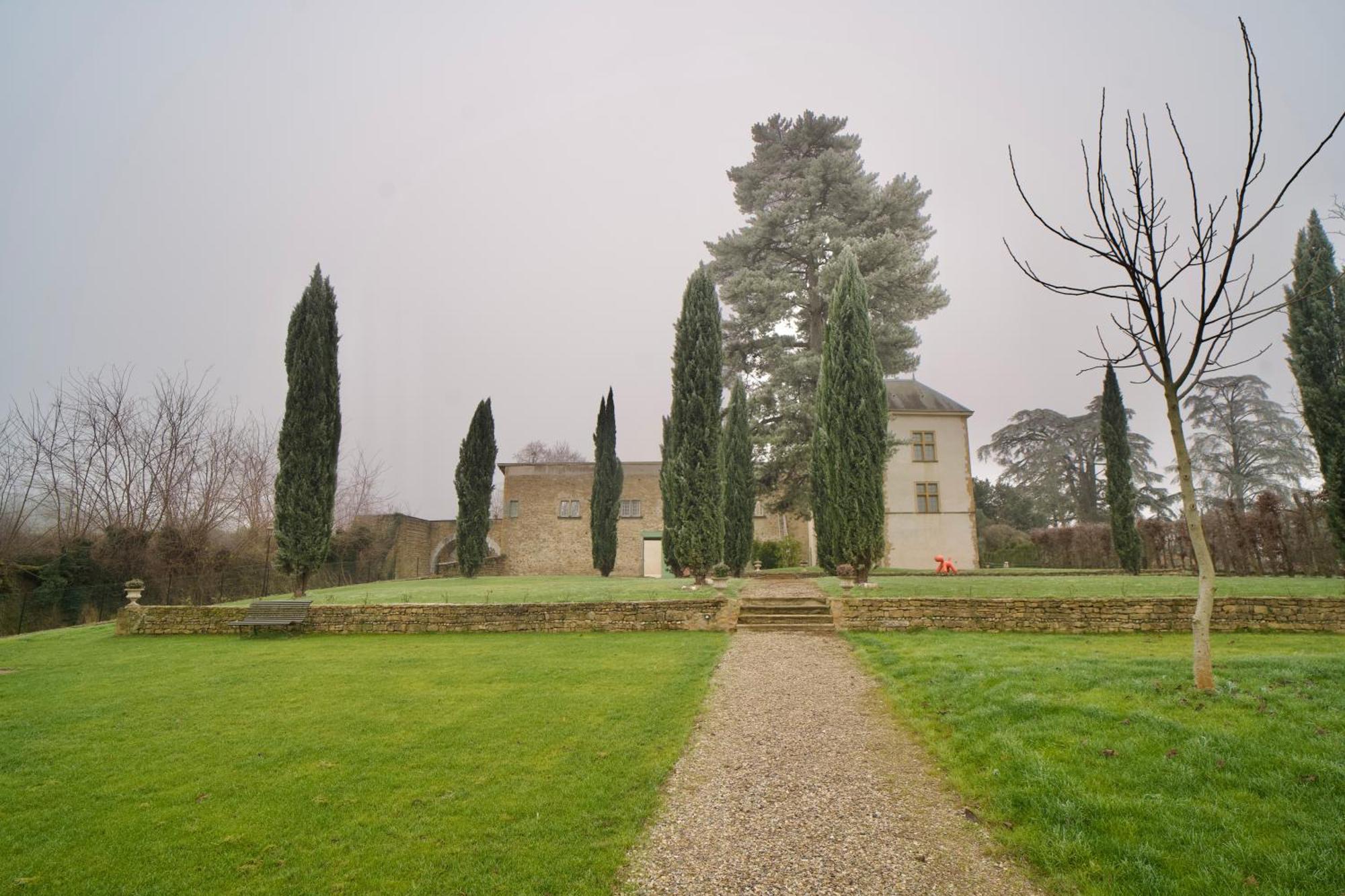 Bed and Breakfast Chateau De Rance Genay  Экстерьер фото